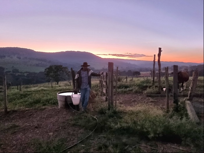 Seu Gervaso no amanhecer na propriedade