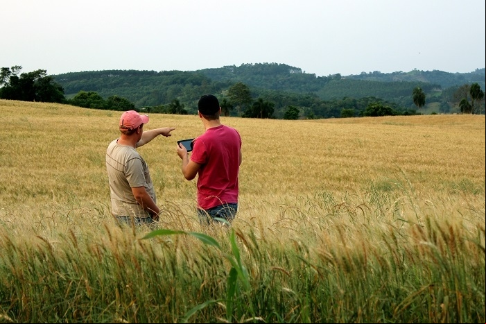Dieli Schmitz Arnemann Tecnologia no agroneg C3 B3cio
