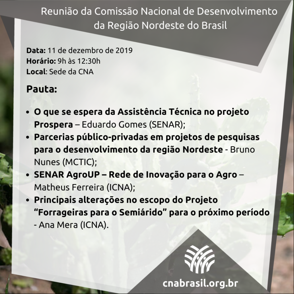 Reuni C3 A3o da Comiss C3 A3o Nacional Nordeste