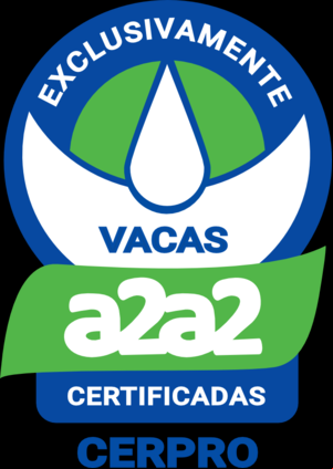 SELO A2 A2 3