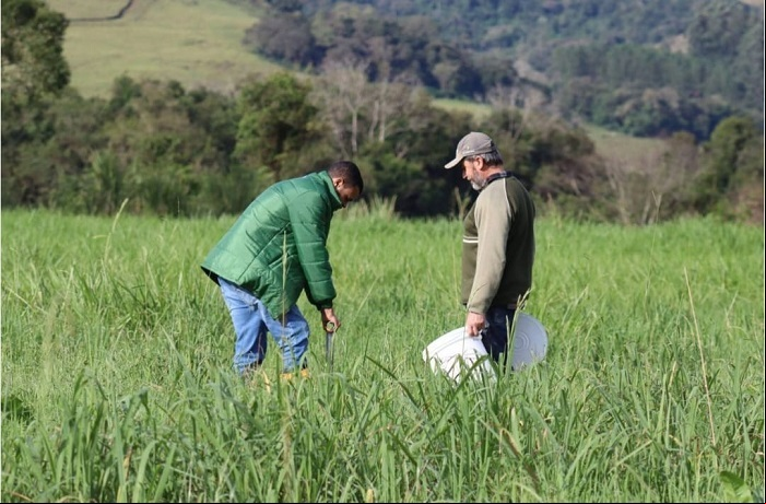 Técnico a orientações ao produtor
