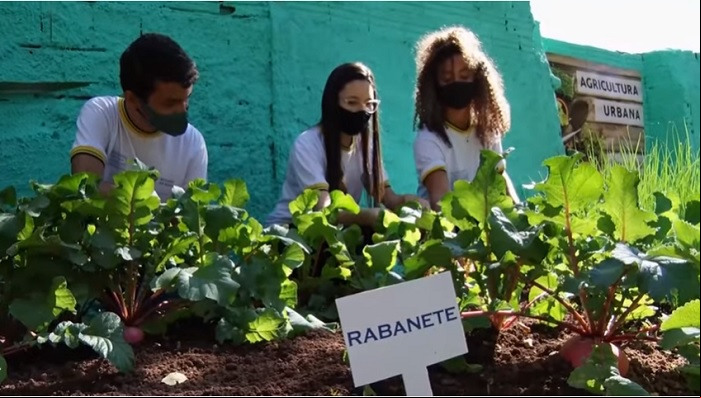 Agricultura urbana destaque