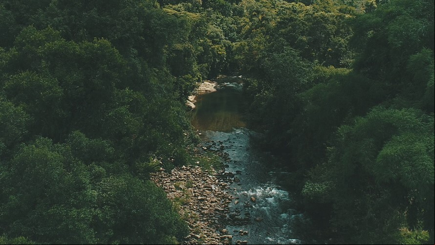 Agua