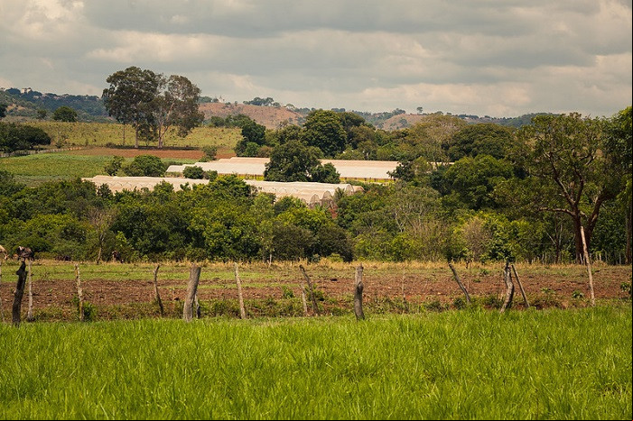 Propriedade rural